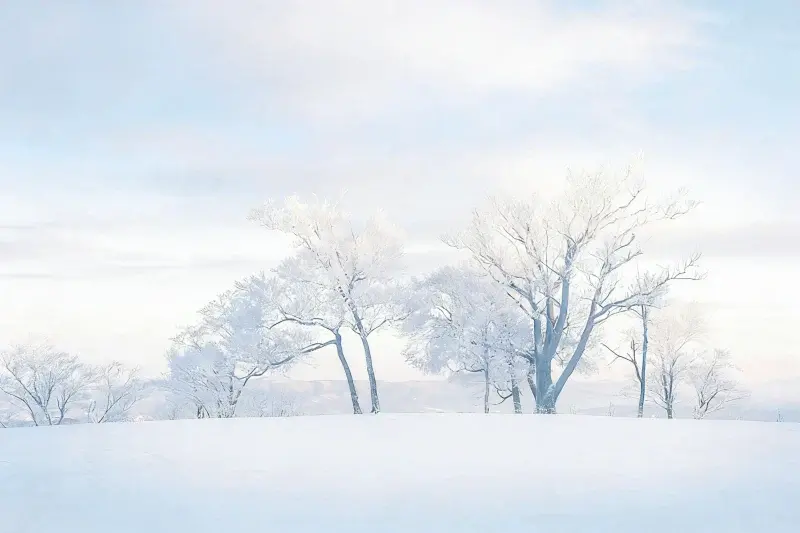 580元 获得自己的独立网站,摆脱平台束缚-星火跨境XINGHUOS-卖家综合服务门户