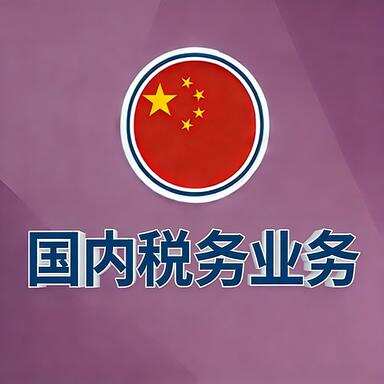 国内税务处理-星火跨境XINGHUOS-卖家综合服务门户
