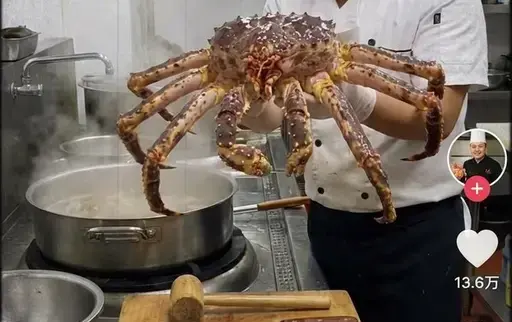 抖音做饭视频画面