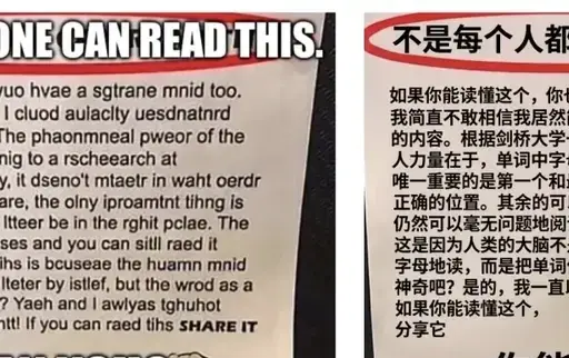 漫画/梗图汉化