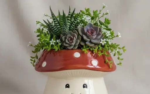 创意绿植花盆
