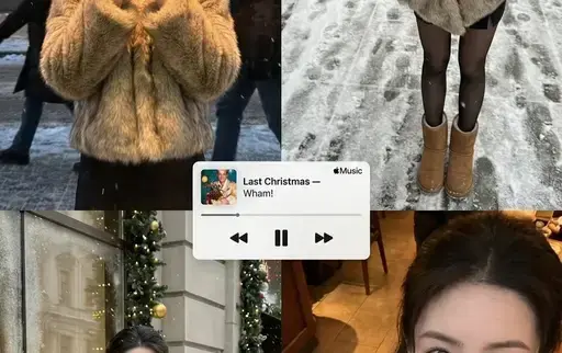 雪景下的精灵