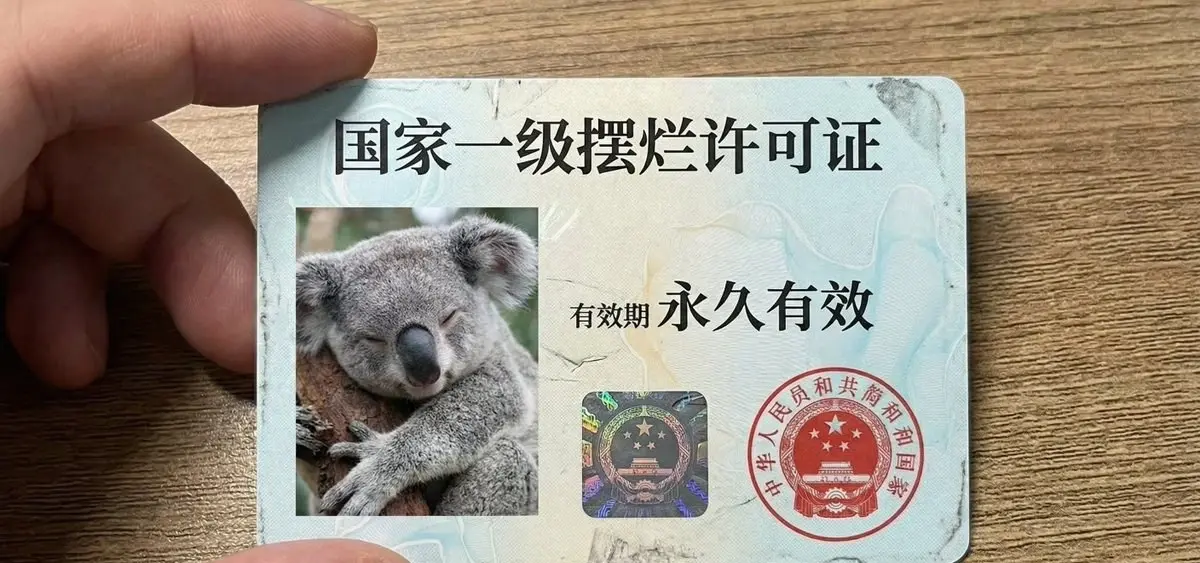 国家一级摆烂许可证 图片 1